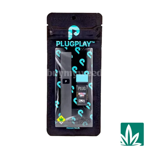 Plug Play All-in-One Starter Kit - Northern Lights
