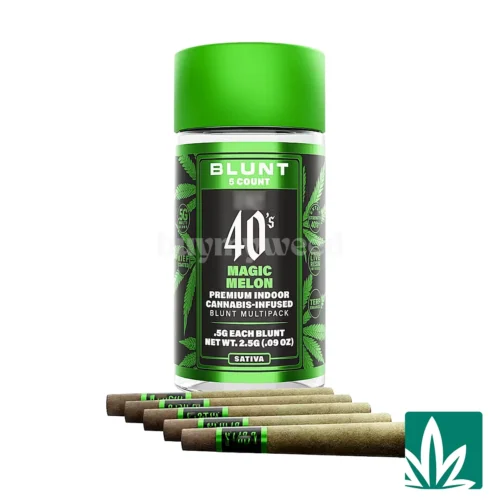 STZY .5G 40's Infused Mini Blunts 5 Pack (2.5g) - Magic Melon
