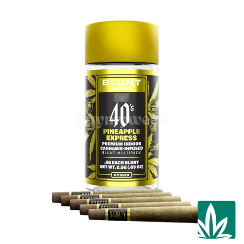 STZY .5G 40's Infused Mini Blunts 5 Pack (2.5g) - Pineapple Express