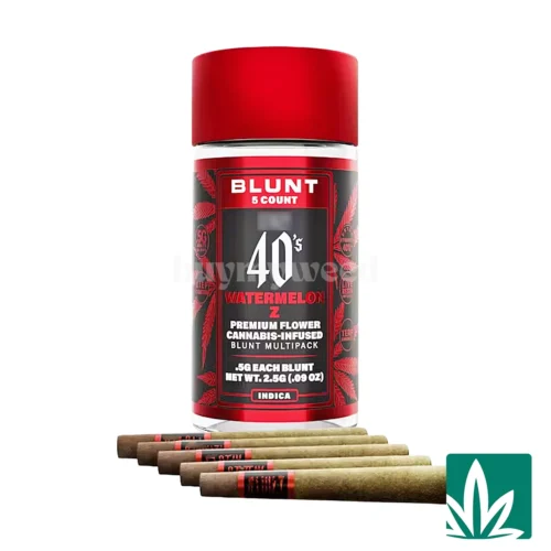 STZY .5G 40's Infused Mini Blunts 5 Pack (2.5g) - Watermelon Z