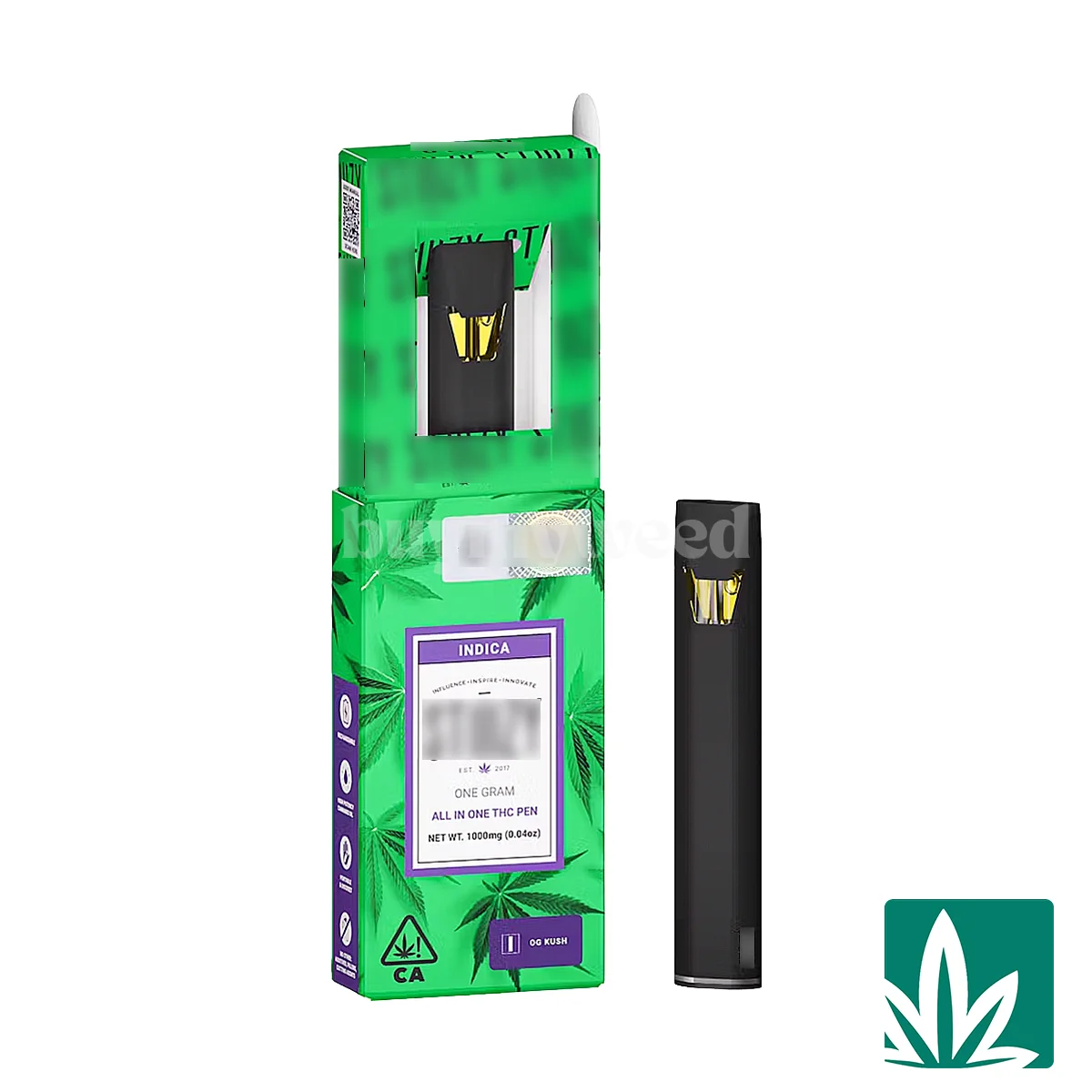 STZY Vape All in One (1g) - OG Kush