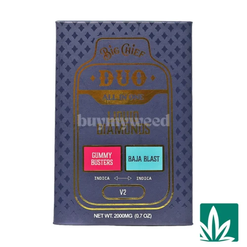 Big Chief Duo All in One 2g - Gummy Busters x Baja Blast