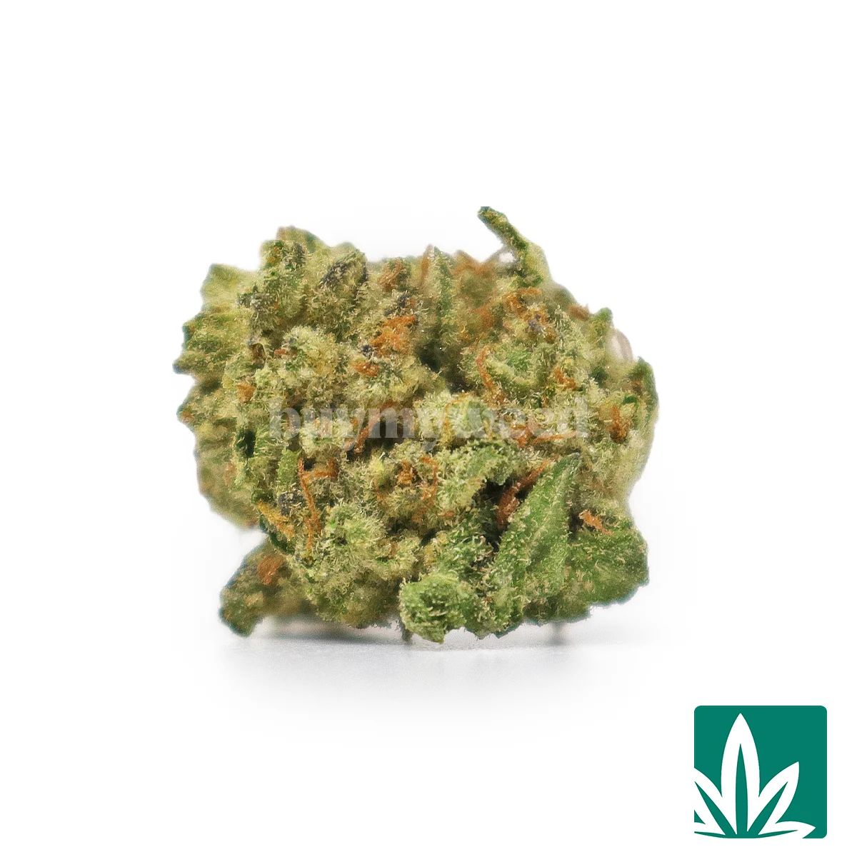 Chopper Smalls Strain - 1