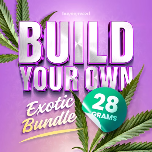 Build Your Own Exotic 28g