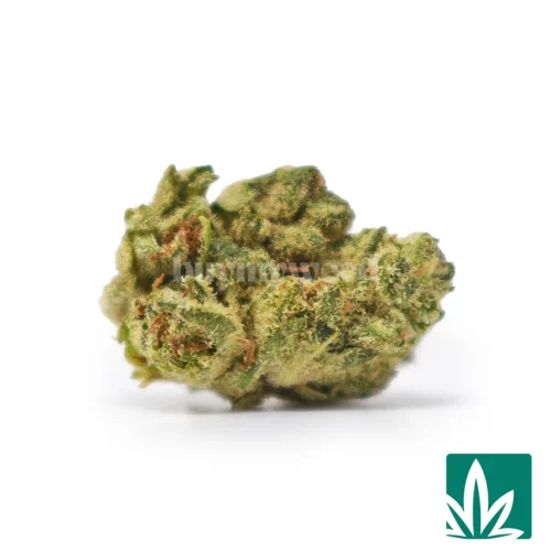 GG4 Smalls Strain -1