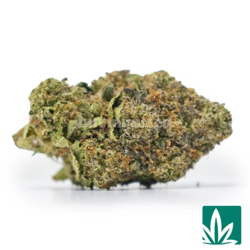 Gelato Cake Strain -1