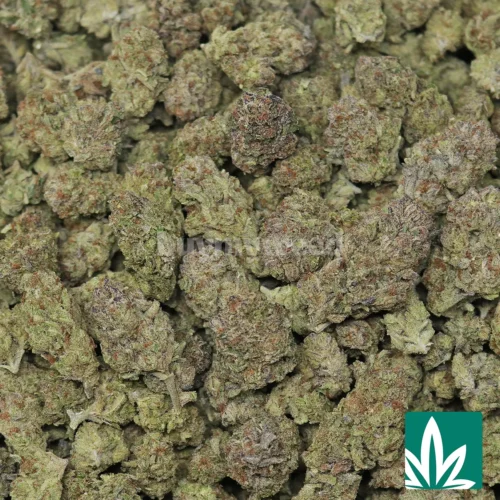 Oreoz Strain Strain - 2