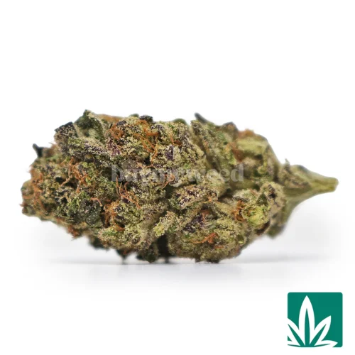 Oreoz Strain Strain - 1