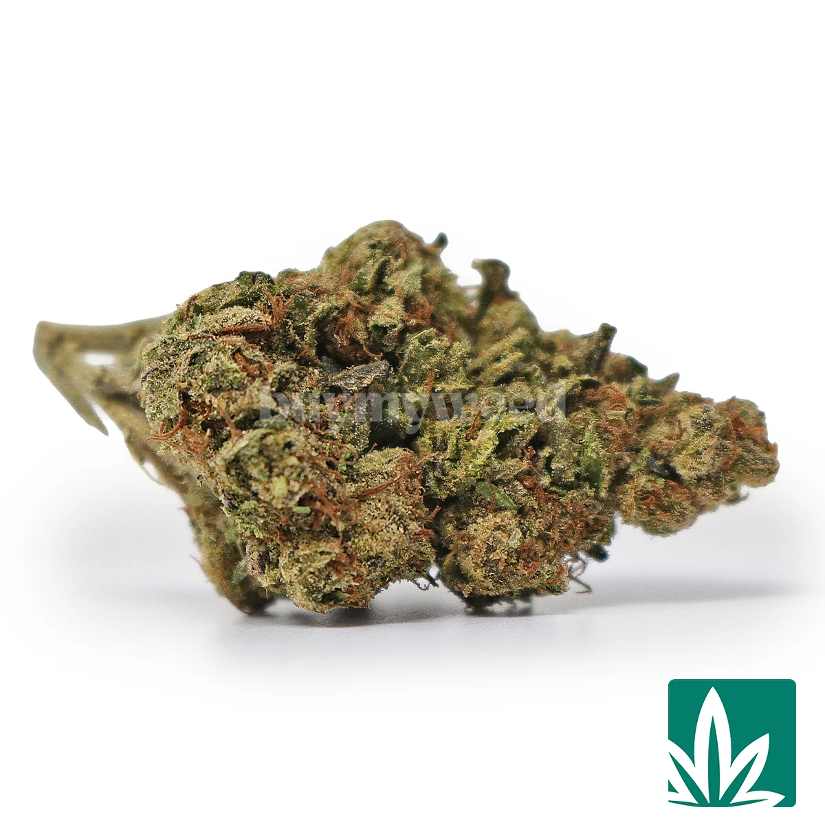 Runtz Mode Strain - 1