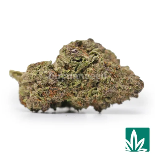 Tropicana Strain - 1