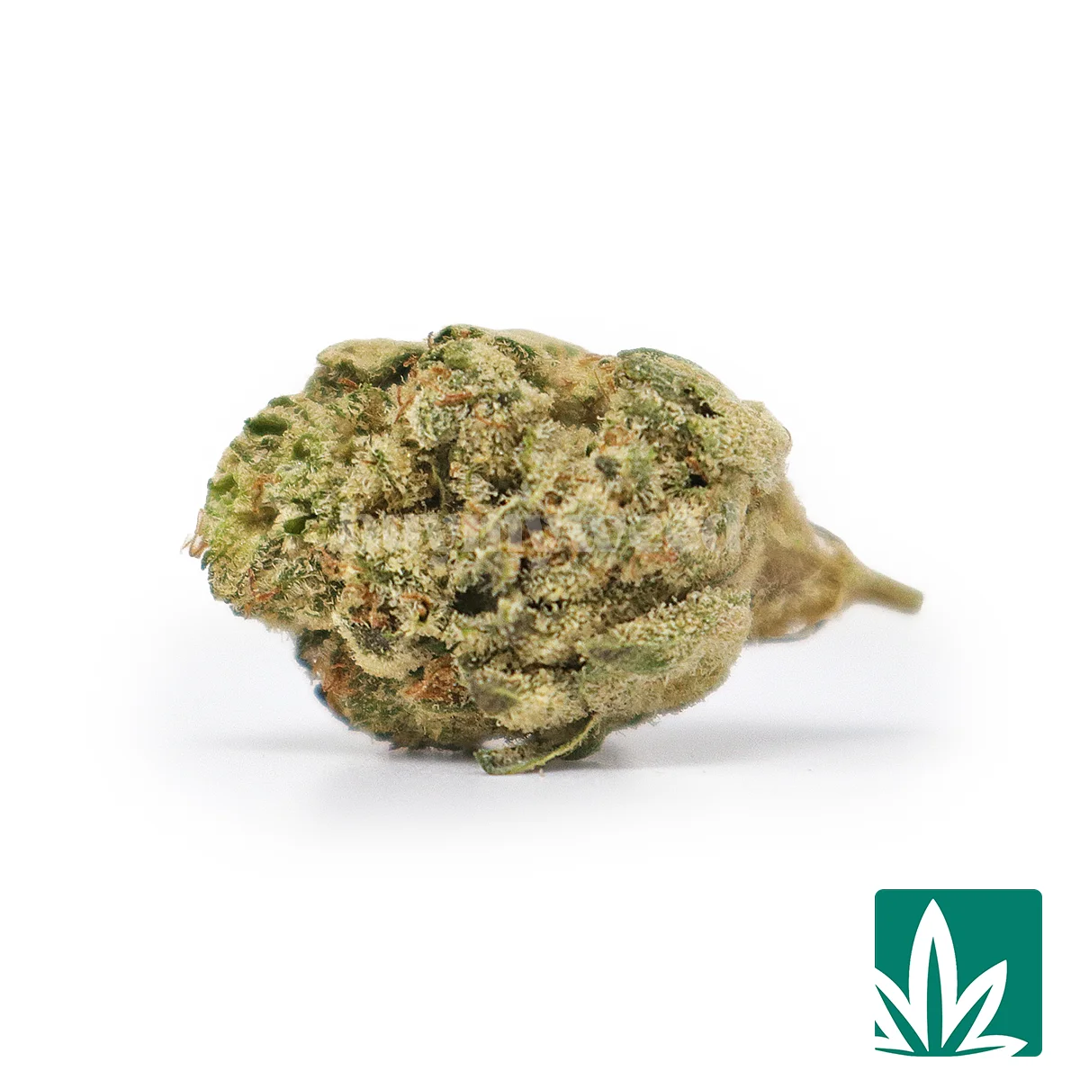 Wedding Cake Smalls Strain -1