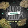 Black Friday QP Deal