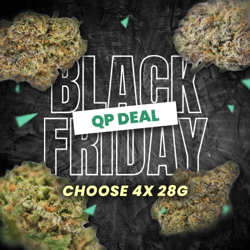 Black Friday QP Deal