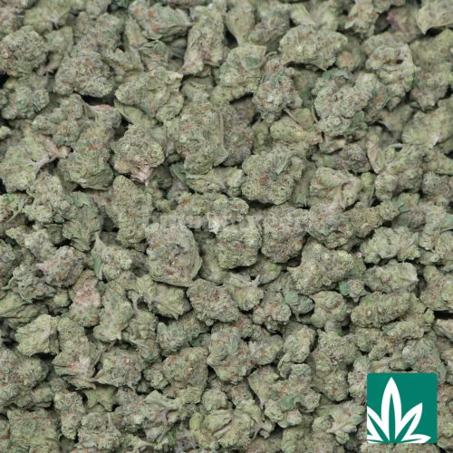 Astro Burger Smalls Strain -2
