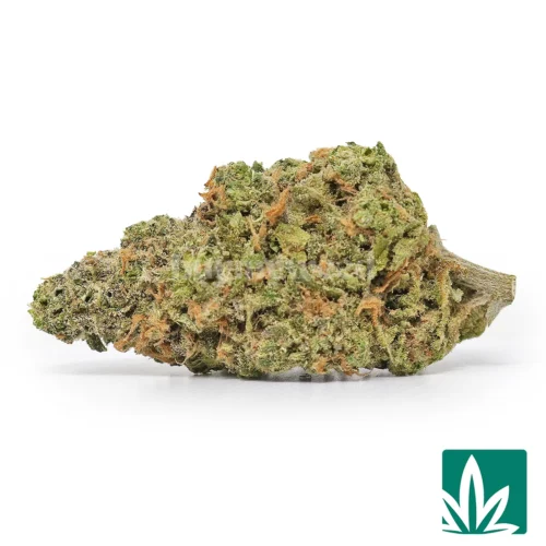 Blue Dream Strain -1