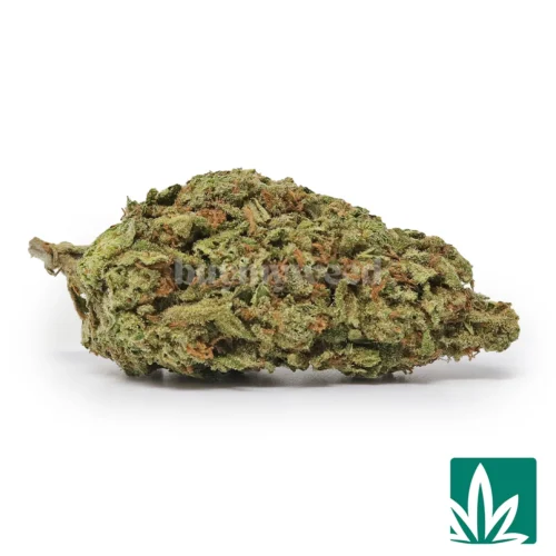 Blue Daydream Strain - 1