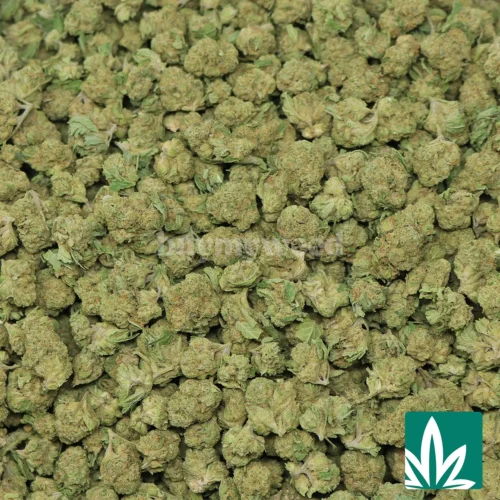 Bubble Bath Smalls Strain -2