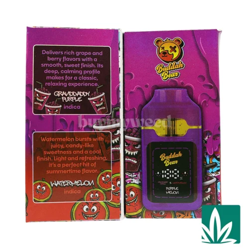 Buddah Bear Sugar Diamond Dispo (3g) - Purple Melon - 2