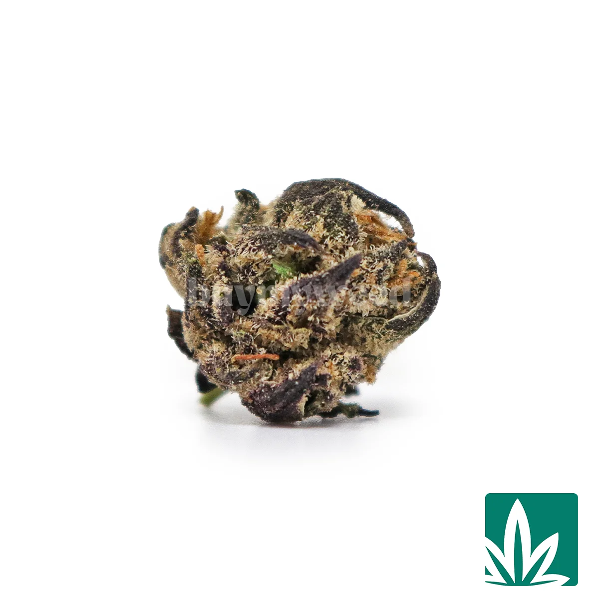 Candy Fumez Smalls Strain - 1