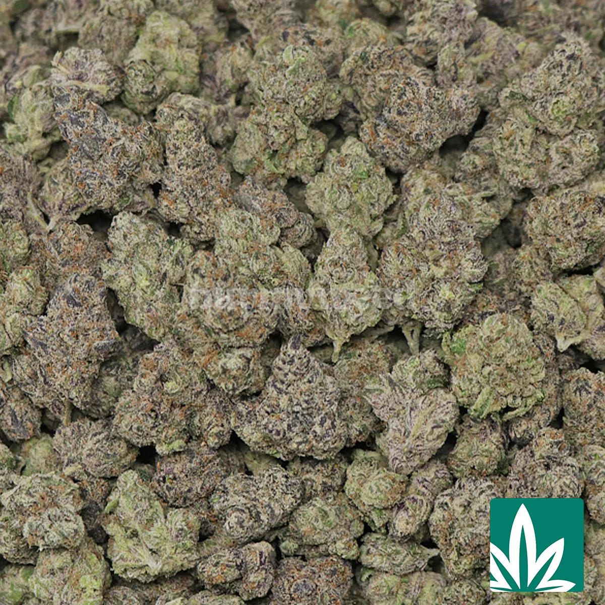 Cherry Popper - Image 2
