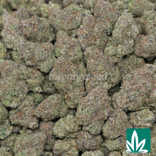 Citrus Crown Gelato Strain - 2