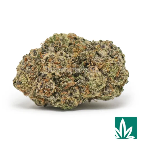Citrus Crown Gelato Strain - 1