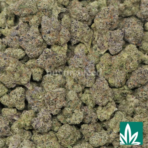 Cotton Candy Burst Strain -2