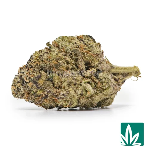 Cotton Candy Burst Strain -1