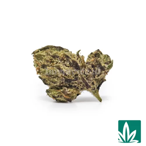 Gaslatto Smalls Strain - 1