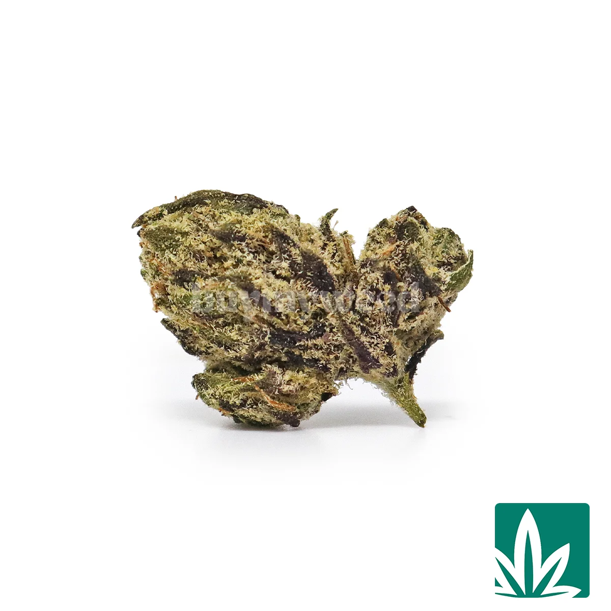 Gaslatto Smalls Strain - 1