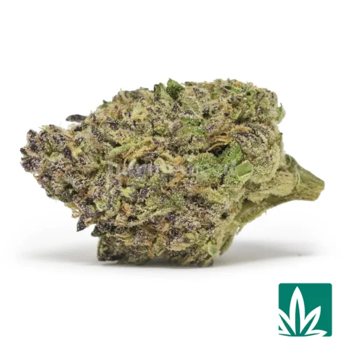 Gelato Cake Strain - 1