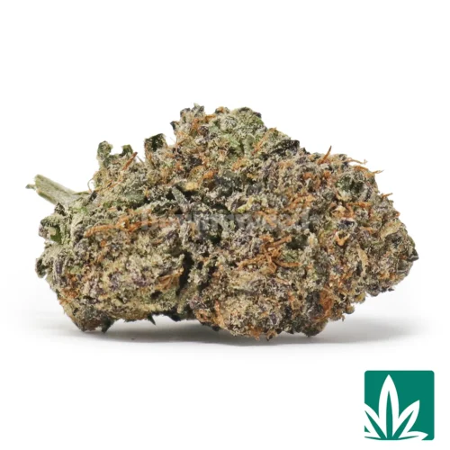 Gelato Runtz Strain - 1