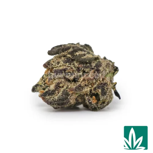 Gello Smalls Strain - 1