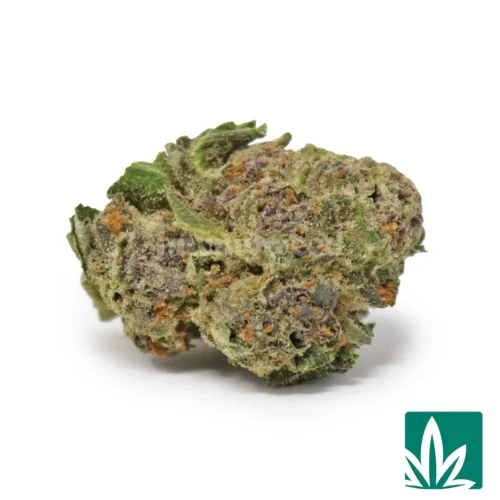 Halle Berry Smalls Strain -1