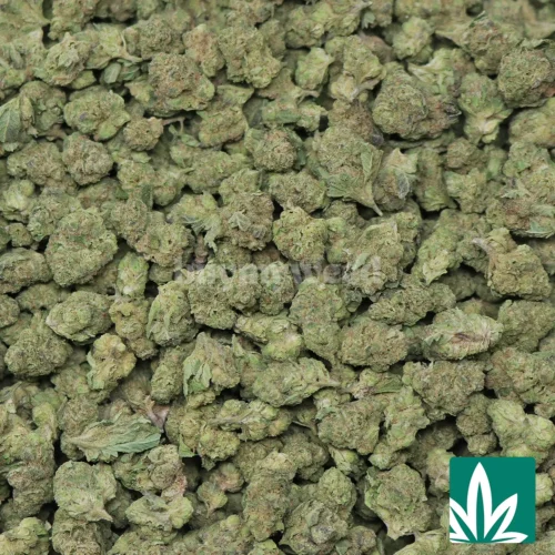 Hashburger Smalls Strain -2
