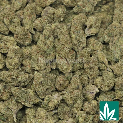 Lemon Cherry Runtz Strain -2