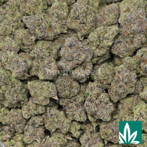 Lemon Dior Strain - 2