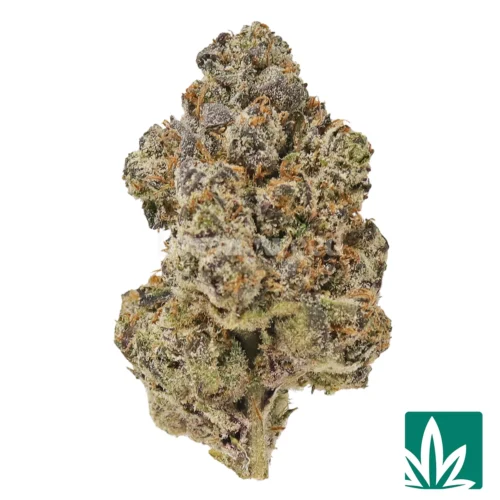 Lemon Dior Strain - 1
