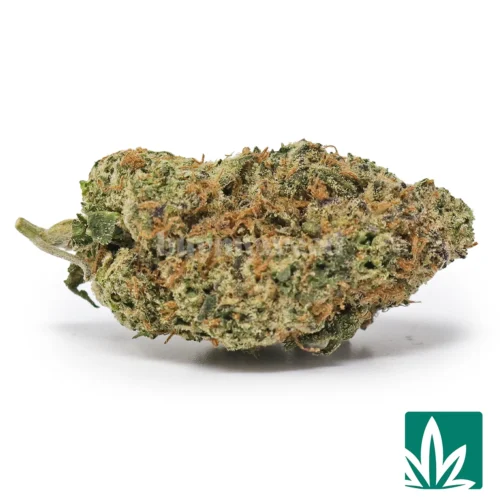 Mochi Strain - 1