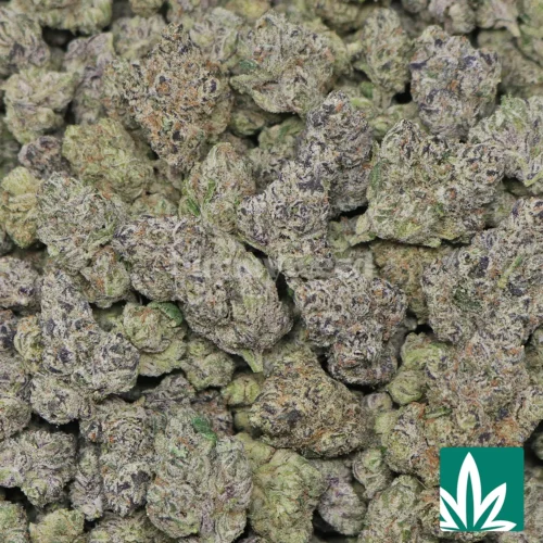 Now n Later Strain -2