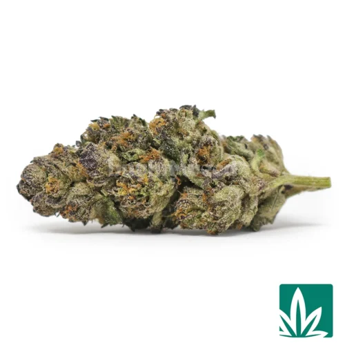 Peek a Boo Strain - 1