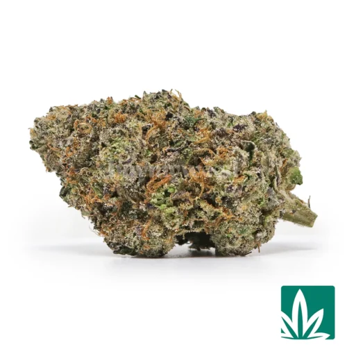 Rose Runtz Strain - 1