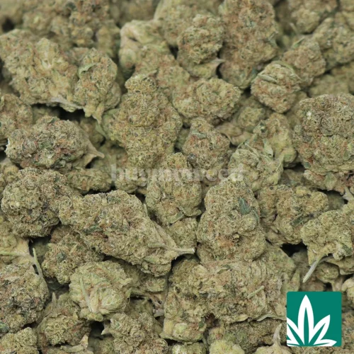 Buy Runaway Bride Online Buy My Weed USA