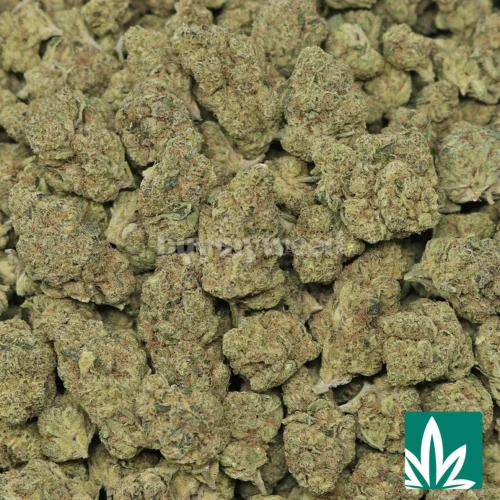 Wedding Crasher Strain - 2