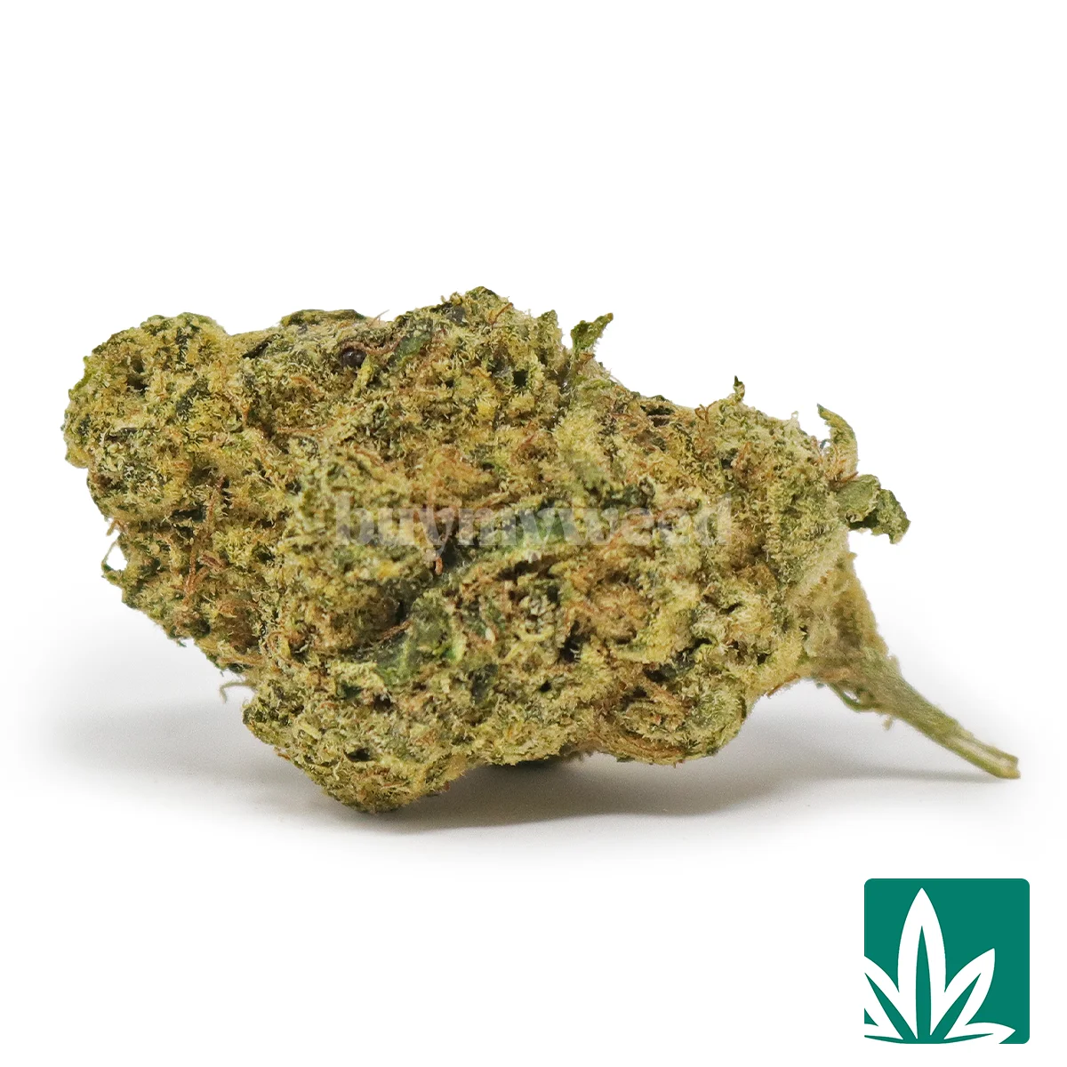 Wedding Crasher Strain - 1