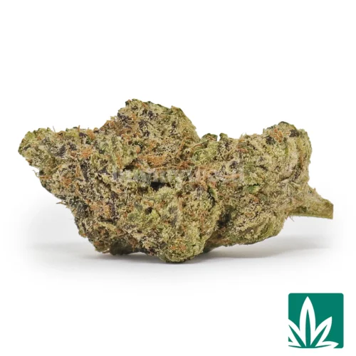 Willy Wonka Strain -1