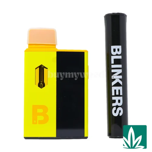 Blinkers Dispo (2g) + Hash Hole - Gushers - 2
