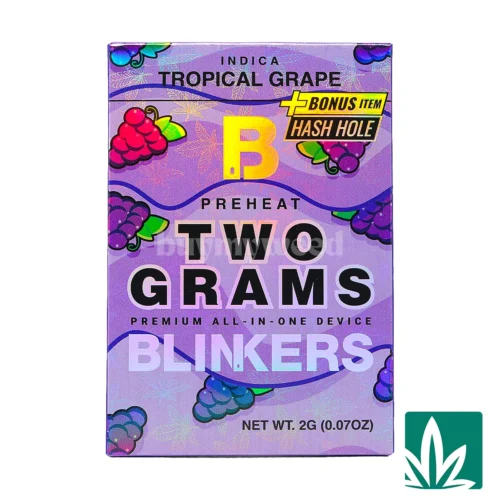 Blinkers Dispo (2g) + Hash Hole - Tropical Grape - 1