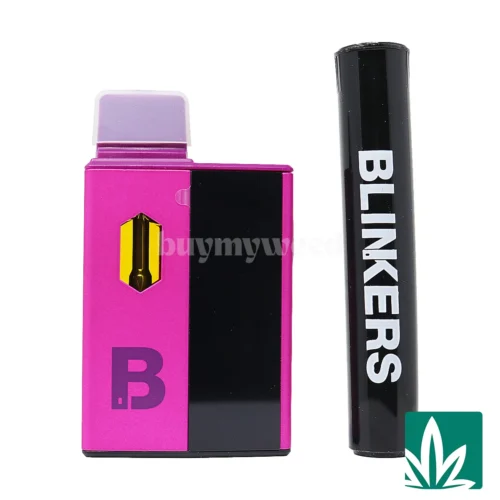 Blinkers Dispo (2g) + Hash Hole - Tropical Grape - 2