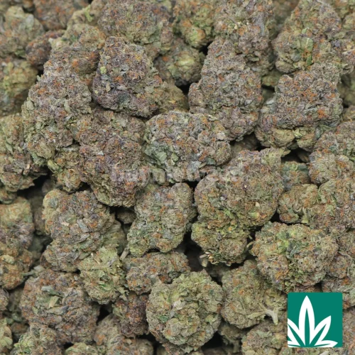 Blue Jam Strain - 2